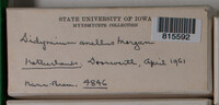 Image Associated With the Occurence
